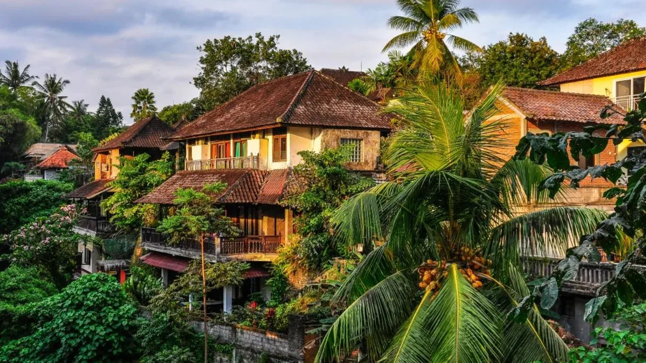 Ubud: A Complete Area Guide — Lifestyle, Real Estate Prices, and Investment Potential