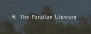 Группа IJI